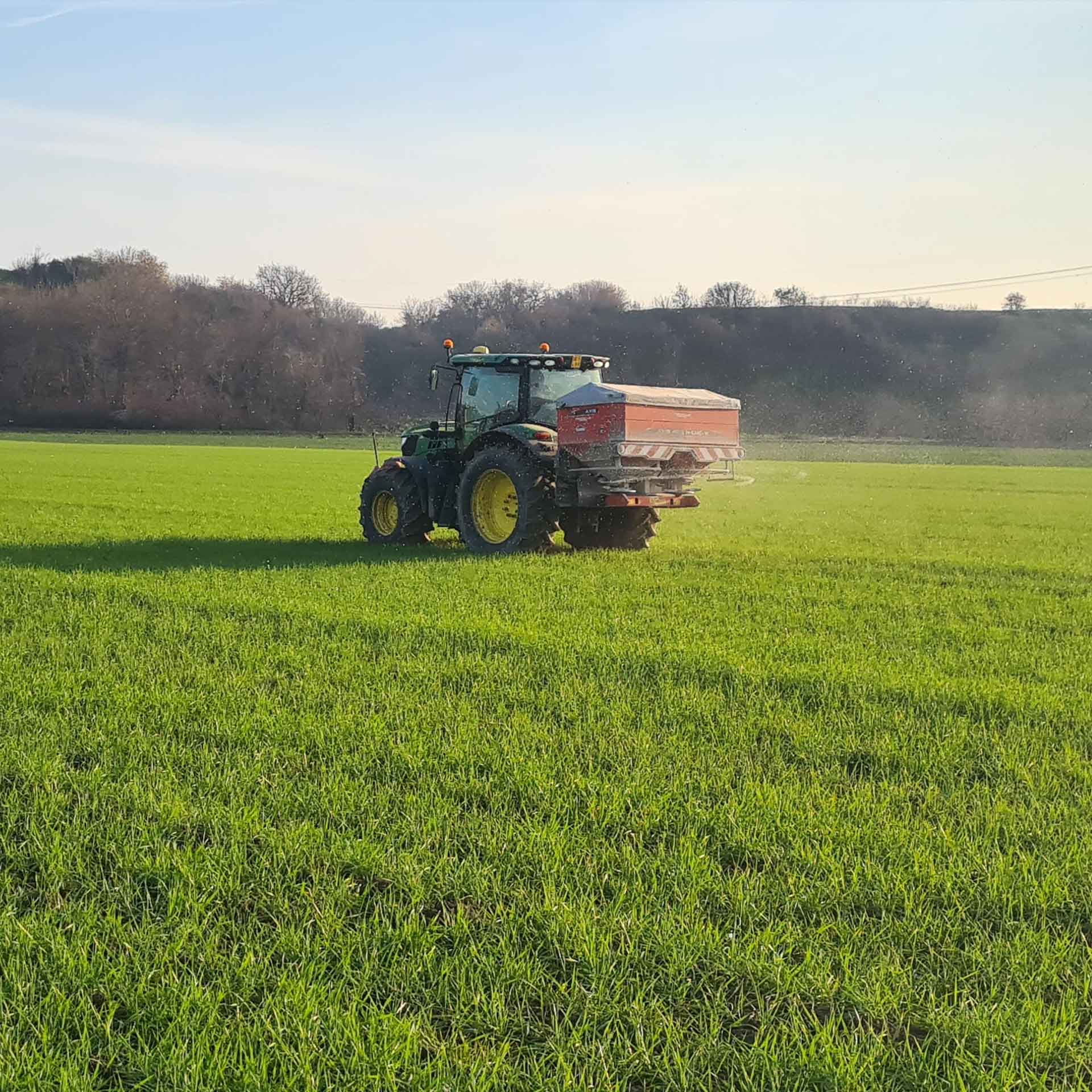 Fertilizzazione