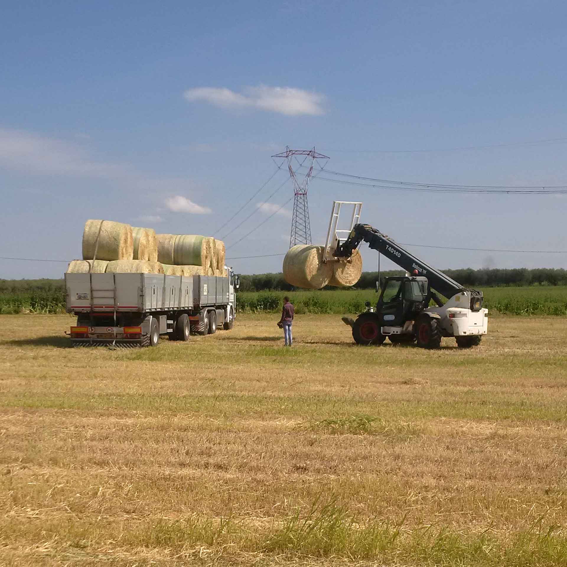 Raccolta foraggi e paglia